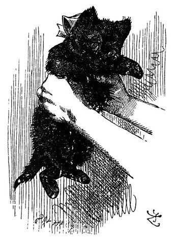 File:433px-Black kitten.jpg