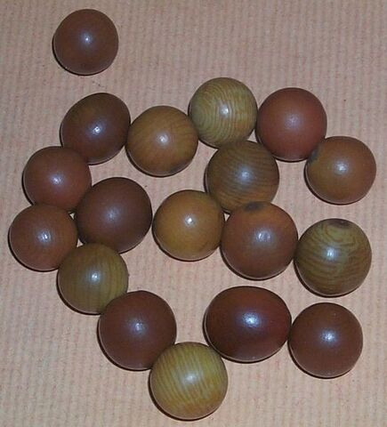 File:Seeds c major.jpg