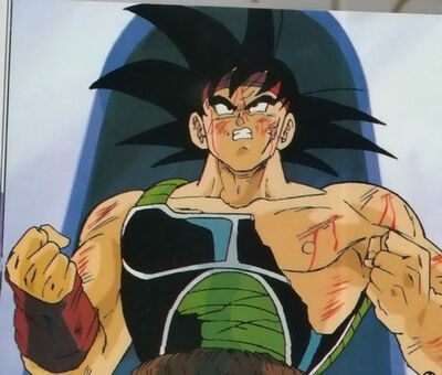 Bardock-bardock-and-king-vegeta-30706888-500-425.jpg