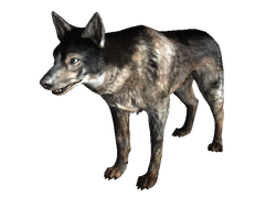 Dog FO3.png