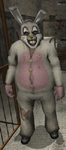 Whiterabbit suit
