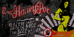 Beeshoneypot