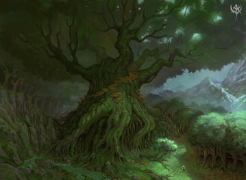 Árbol Madre.jpg