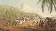Azucareros caribeños.jpg