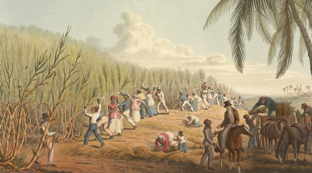 Archivo:Azucareros caribeños.jpg