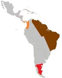 Latin America-Turn 3