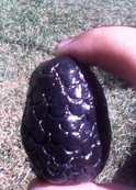 New world salamander egg