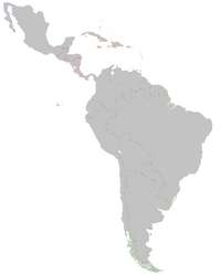 TV-Latin America base map