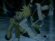 Ginta fighting Ian