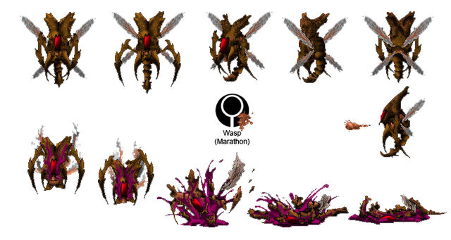 File:Marathon Wasp.jpg