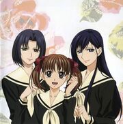 Chinensis Sisters