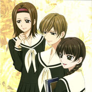Yellow Rose Family