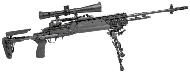File:M14 EBR-RI.jpg