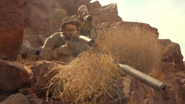 HyenaRoad-TAC50-1