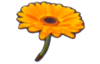 MK8 Sprite Blumengleiter.png