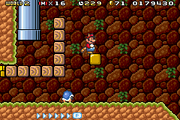 Bruyinsecte SMB3.png
