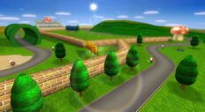 MarioRacewayWii