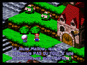 SMRPG-Mallow&Mario3.png