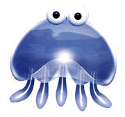 Jellyfish