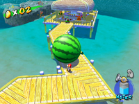 The Watermelon Festival