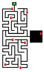 The Secret Ancient Temple Maze
