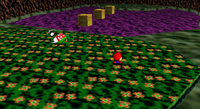 SwampyForest3