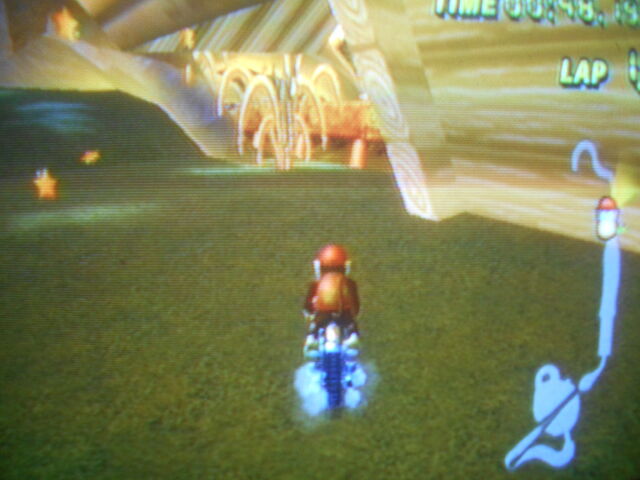 File:MapleTreewayGlitch.jpg