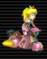 Sugarscoot-Peach