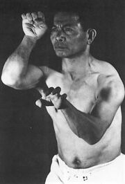 Kanbun-203x300.jpg