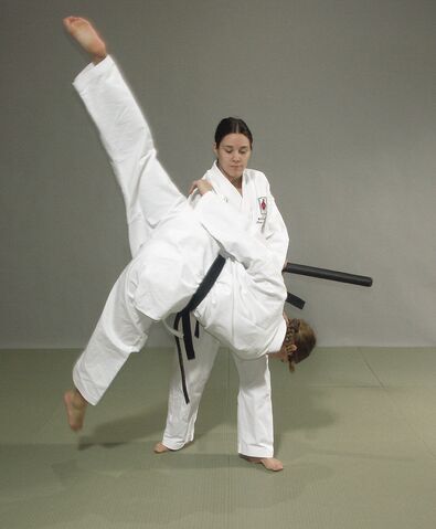 File:SJJFkotegaeshi.jpg