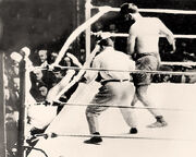 Firpo2.jpg