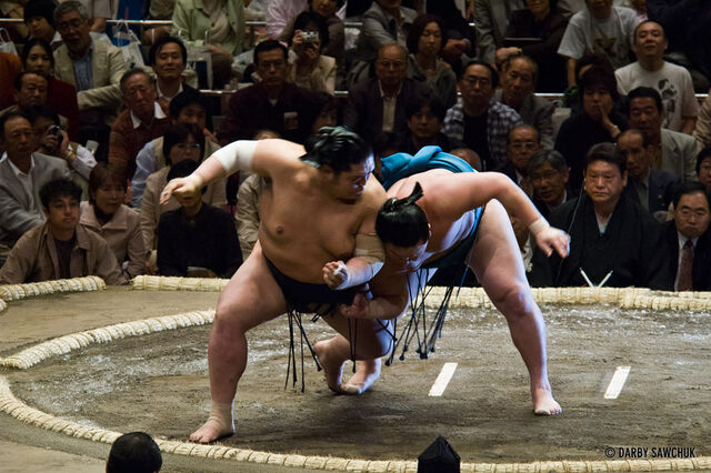 File:Sumo-wrestling-01.jpg