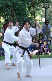 Bojutsu demo01