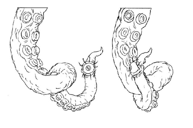 File:Martin Mystery - Pilot Episode - Concept Art (Character Design) by Nicolas Vergnaud - Eyeball Tentacle.jpg