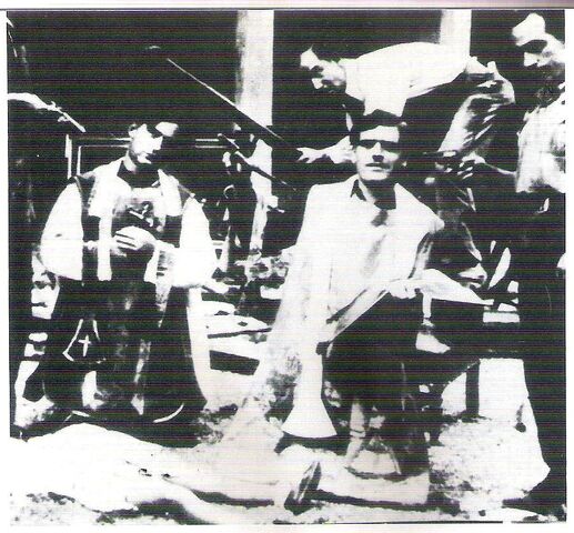 Archivo:284ornam.jpg