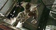 Rhinooooooooo.jpg
