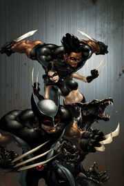 Xforce2.jpg