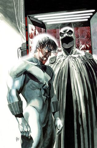 File:Nightwing 0033.jpg