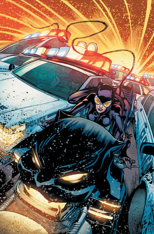 File:Catwoman Vol 4 17 Textless.jpg