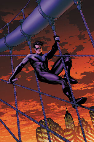 File:Nightwing 0021.jpg