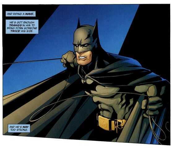 File:Batman 0343.jpg