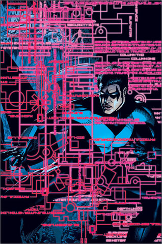 File:Nightwing 0048.jpg