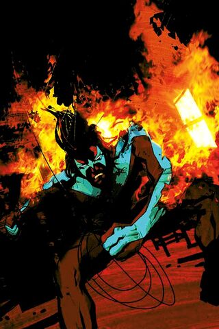 File:Nightwing 0077.jpg