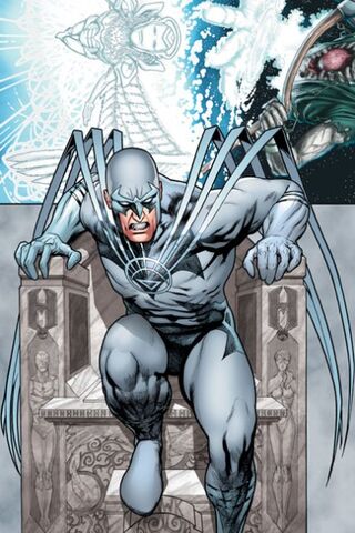 File:White lantern Hawk.jpg