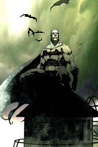 File:Batman 0524.jpg