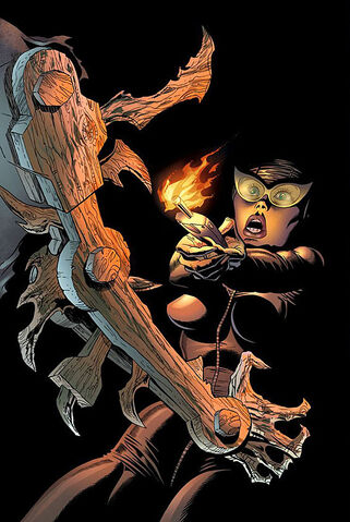 File:Catwoman 0084.jpg