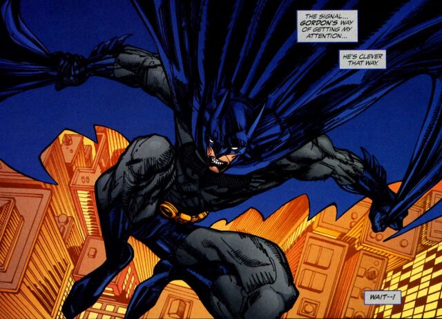 File:Batman 0507.jpg