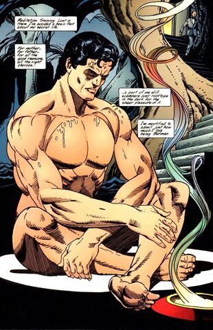 File:Bruce Wayne 039.jpg