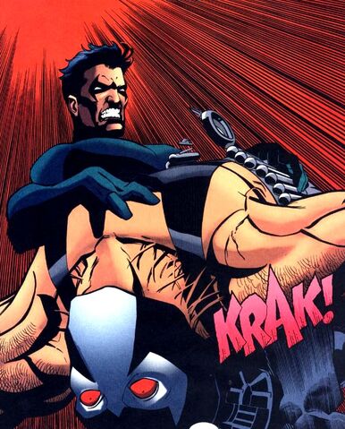File:Nightwing 0037.jpg