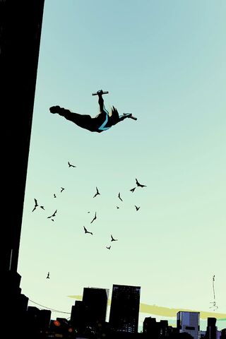 File:Nightwing 0053.jpg